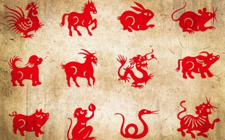 Tahun Ular Kayu 2025: Shio yang Diprediksi Banjir Cuan Setelah Imlek