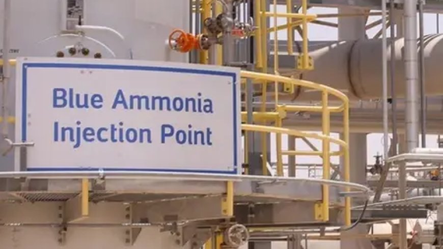 Pembangunan Pabrik Blue Ammonia Senilai Rp10 Triliun Dimulai 2026 di Teluk Bintuni