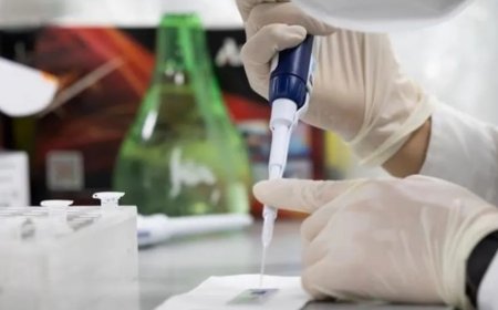 Jepang Konfirmasi Kasus Pertama Flu Burung Patogenik Tinggi Tahun 2026